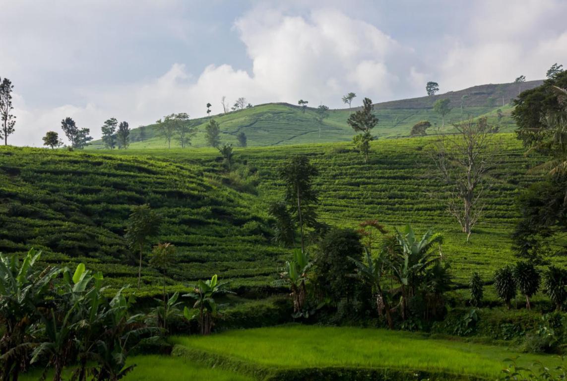 Tea Garden Resort Bandung Exterior photo